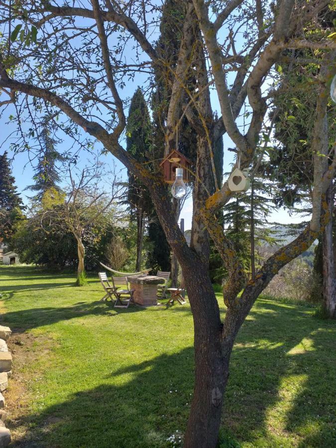 Hotel Le Terre Di Caprano Città di Castello Exteriér fotografie